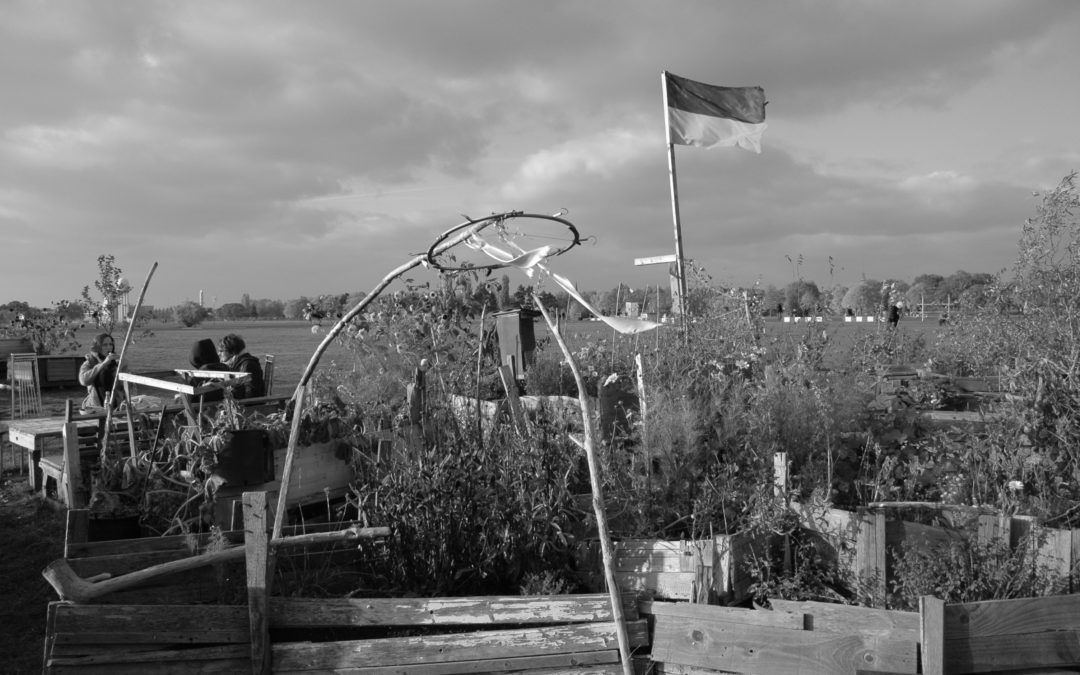 Todo un campo a desarrollar | Ana Asensio