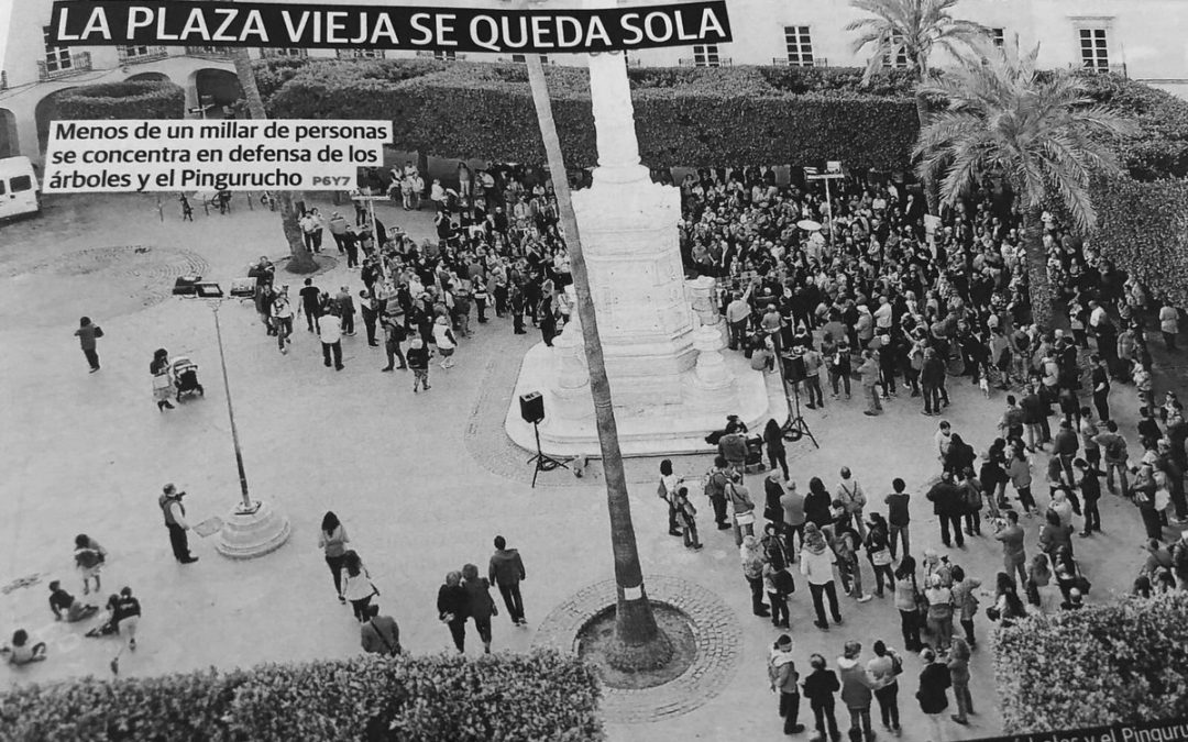Conflicto Minoritario