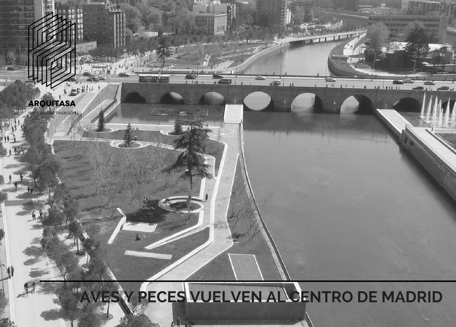 AVES Y PECES VUELVEN AL CENTRO DE MADRID.