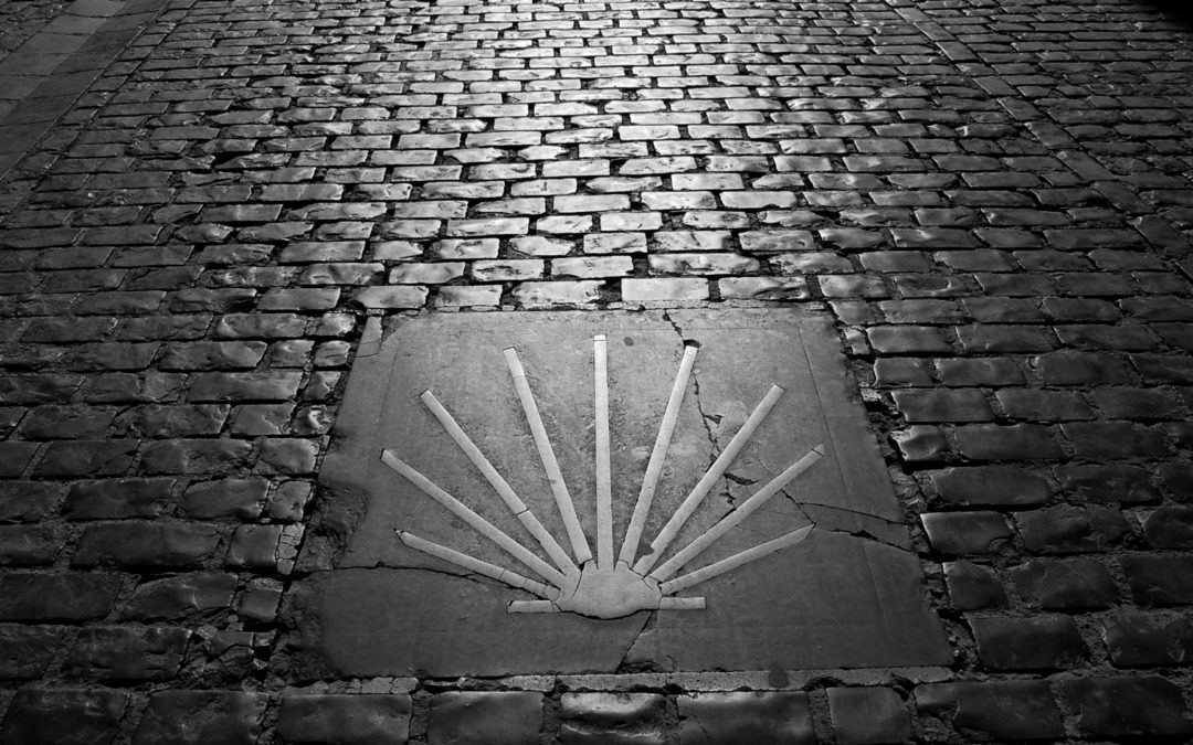 EL CAMINO DE SANTIAGO, PATRIMONIO DE TODOS | SUSANA RODRIGUEZ