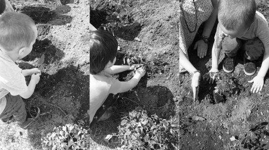 El contacto con la naturaleza lleva al aprendizaje a través de un huerto escolar, es la premisa de aprender fuera de las aulas de clase con el proyecto “FuoriClasse”, desarrollado por la profesora y mediadora cultural Tatiana Cogliati.